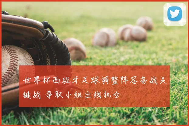 世界杯西班牙足球调整阵容备战关键战 争取小组出线机会