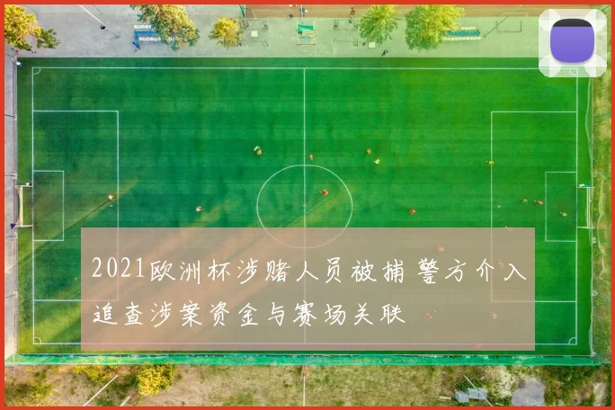 2021欧洲杯涉赌人员被捕 警方介入追查涉案资金与赛场关联
